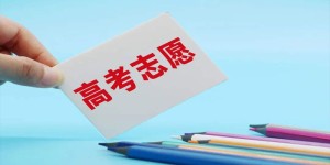 学税收学要选什么科目3+1+2