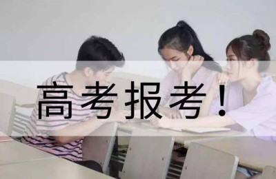 新高考学公共艺术选什么科