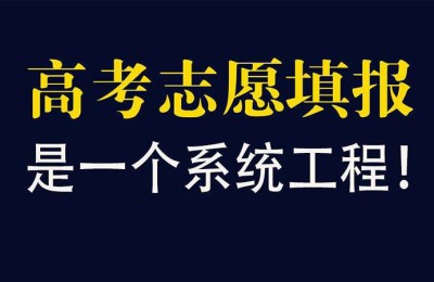 职业技术学院是大学吗